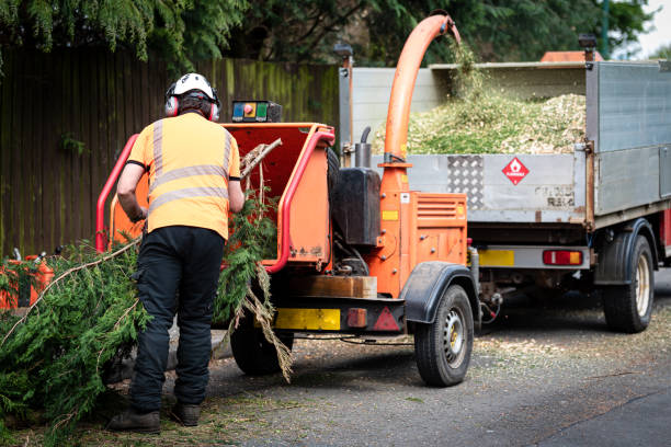 Best Tree and Shrub Care  in Elizabethtown, NC